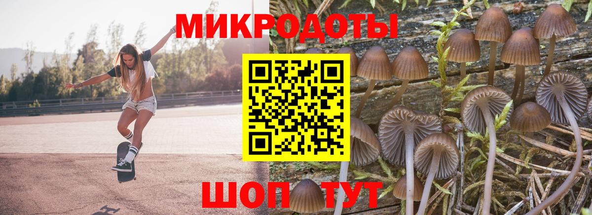 Галлюциногенные грибы Psilocybine cubensis  Вход с VPN  Лангепас 
